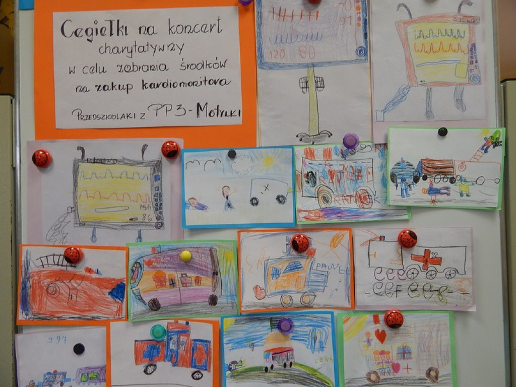 Mali wolontariusze z Przedszkola Publicznego nr 3 w Brzegu.