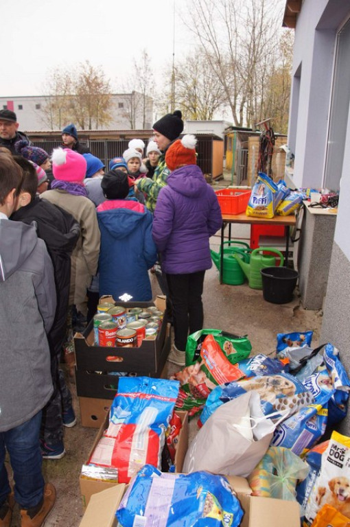 ŚWIATOWY DZIEŃ ZWIERZĄT