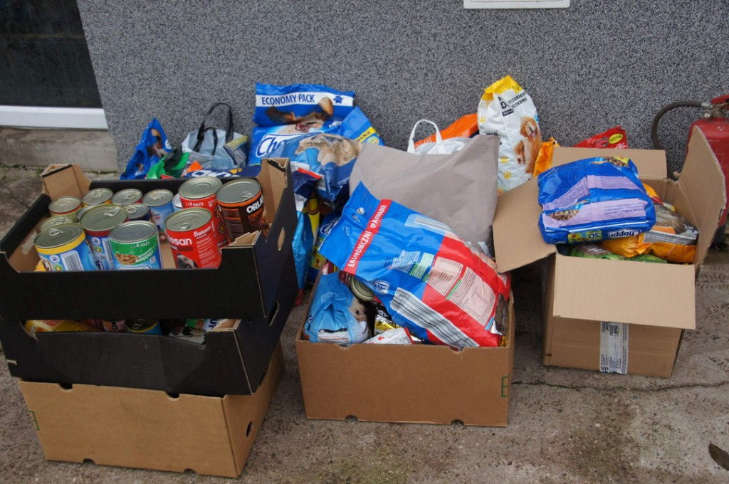 ŚWIATOWY DZIEŃ ZWIERZĄT