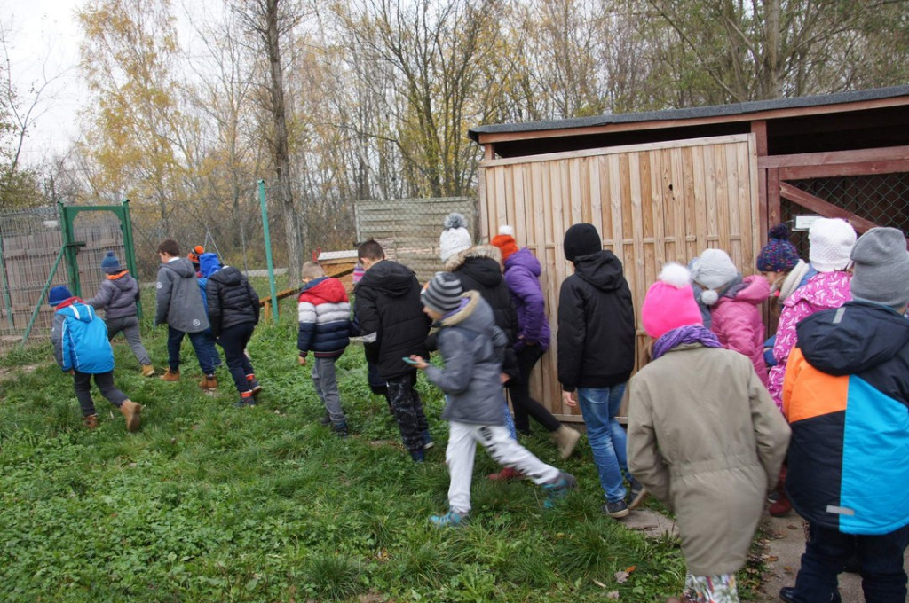 ŚWIATOWY DZIEŃ ZWIERZĄT