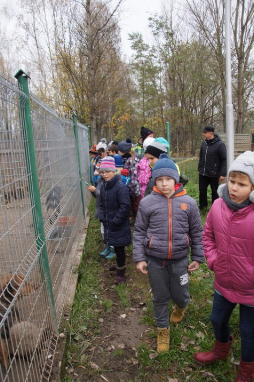 ŚWIATOWY DZIEŃ ZWIERZĄT