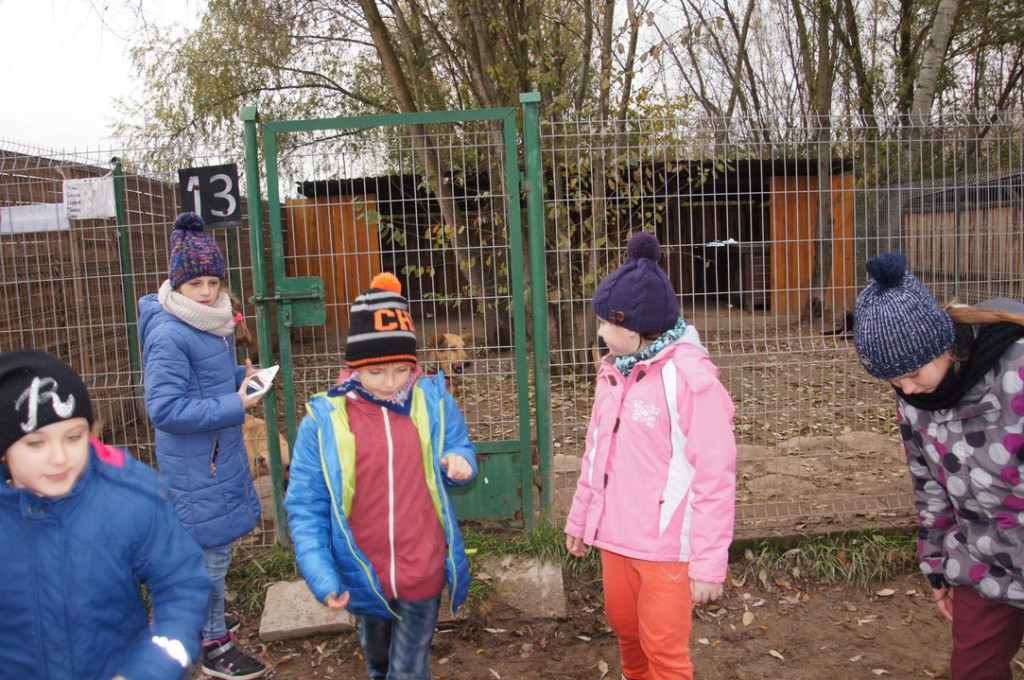 ŚWIATOWY DZIEŃ ZWIERZĄT