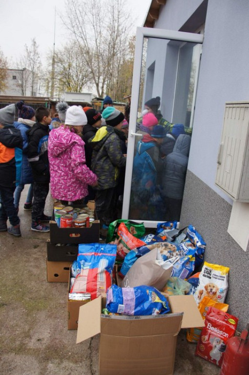 ŚWIATOWY DZIEŃ ZWIERZĄT