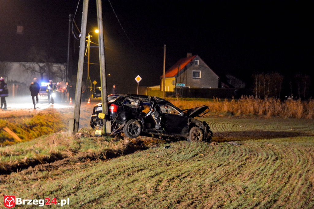 Wypadek w Gnojnej k. Grodkowa. Auto wypadło z drogi