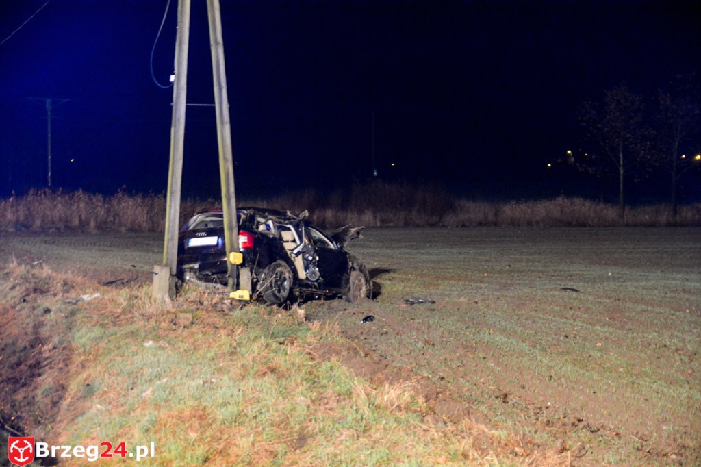 Wypadek w Gnojnej k. Grodkowa. Auto wypadło z drogi