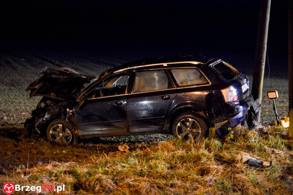 Wypadek w Gnojnej k. Grodkowa. Auto wypadło z drogi