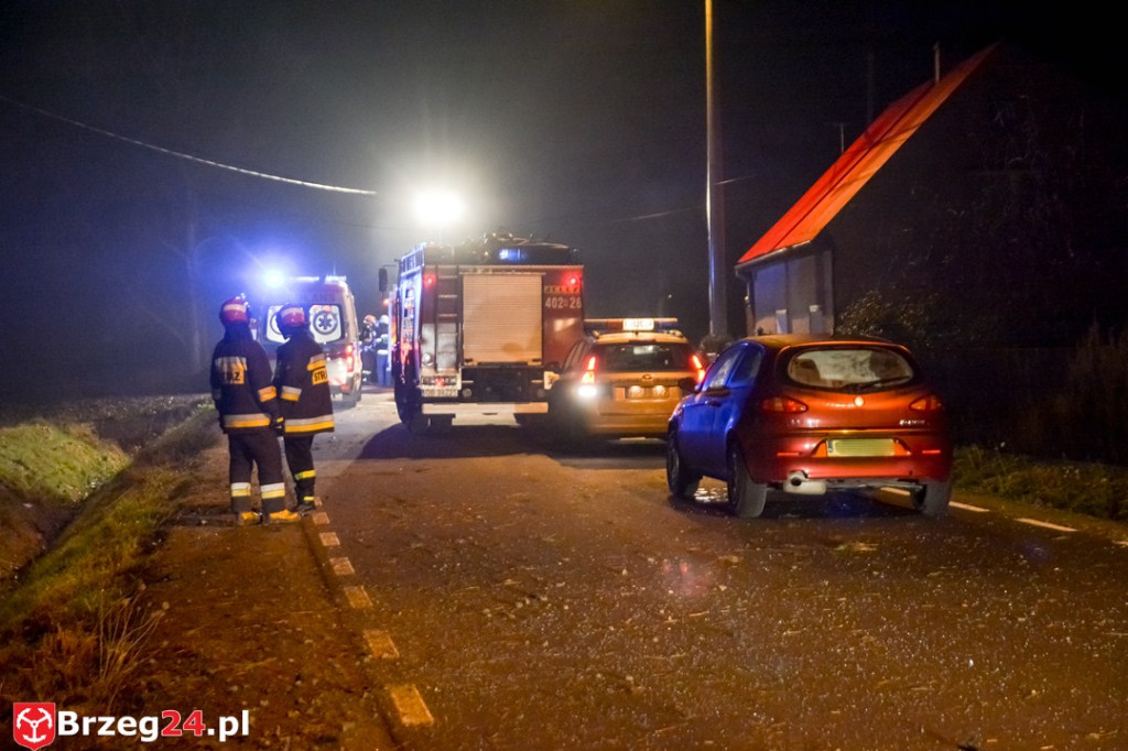 Wypadek w Gnojnej k. Grodkowa. Auto wypadło z drogi