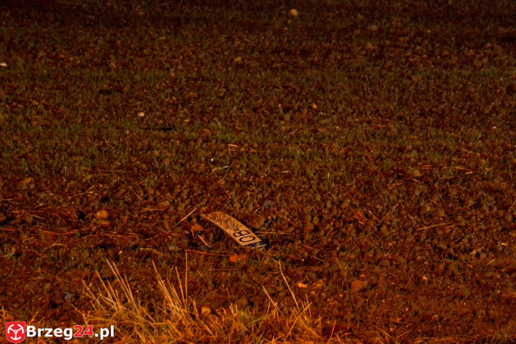 Wypadek w Gnojnej k. Grodkowa. Auto wypadło z drogi