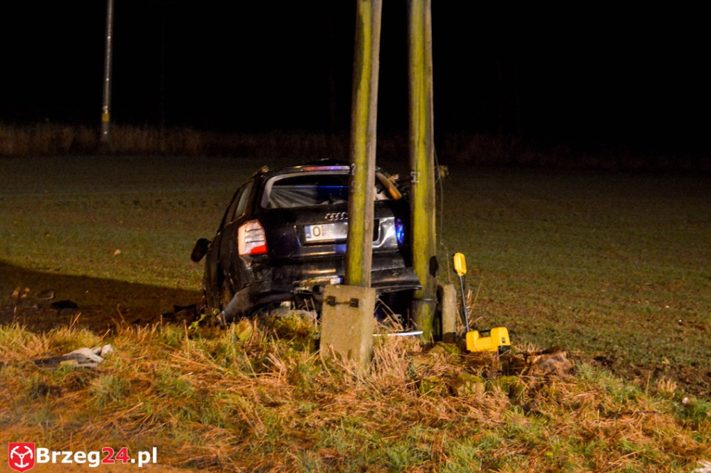Wypadek w Gnojnej k. Grodkowa. Auto wypadło z drogi