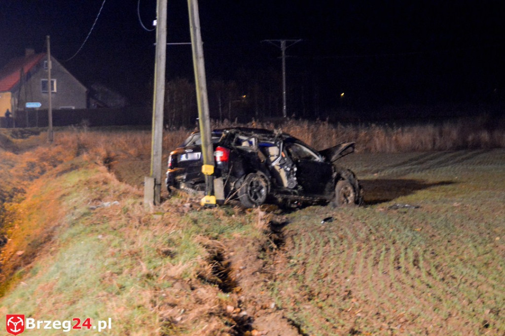 Wypadek w Gnojnej k. Grodkowa. Auto wypadło z drogi