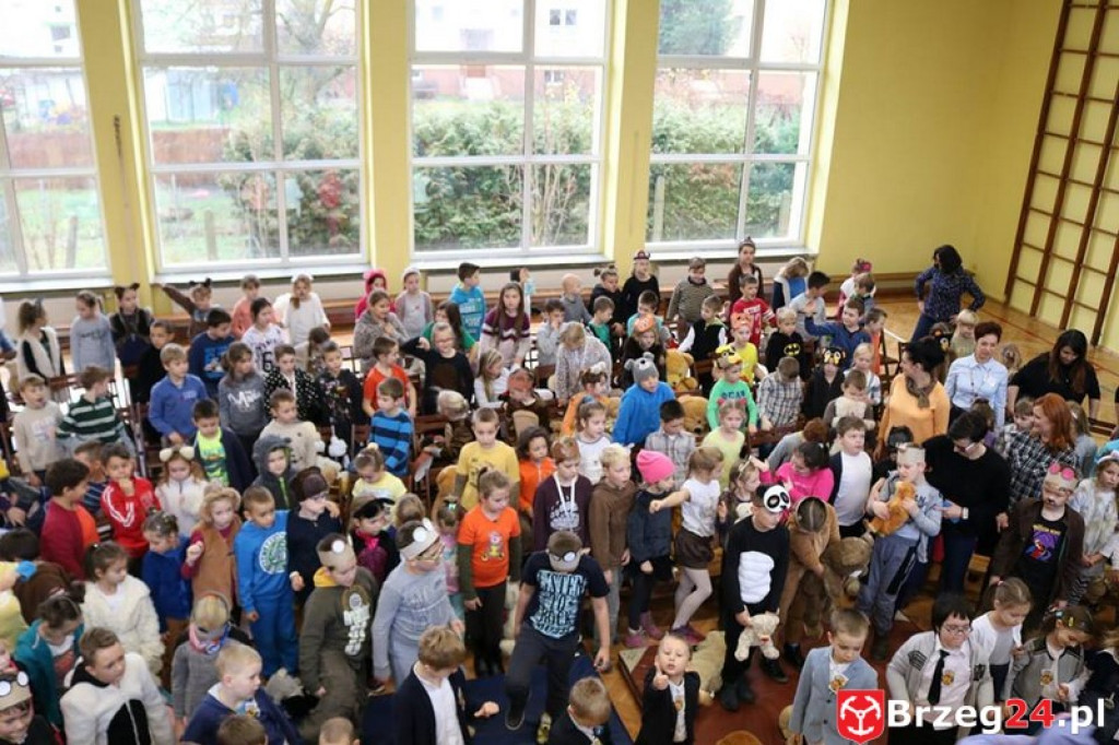 Obchody Dnia Pluszowego Misia w Ósemce