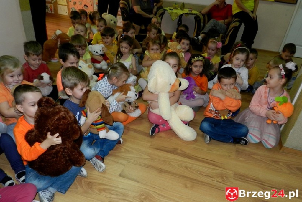 Misiowy bum w brzeskiej jedenastce .