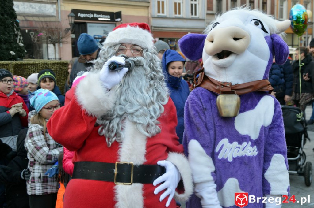 40 tysięcy światełek - Fotorelacja ze  
