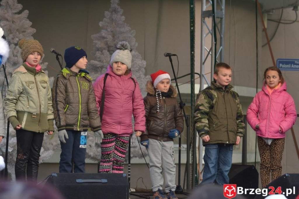 40 tysięcy światełek - Fotorelacja ze  