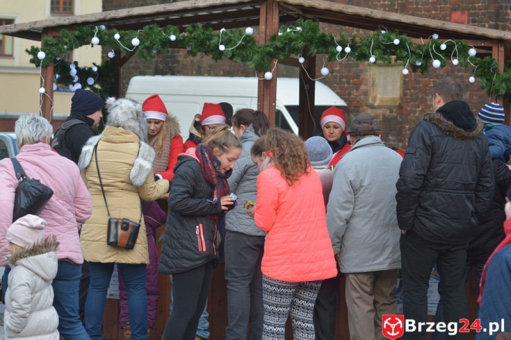 40 tysięcy światełek - Fotorelacja ze  