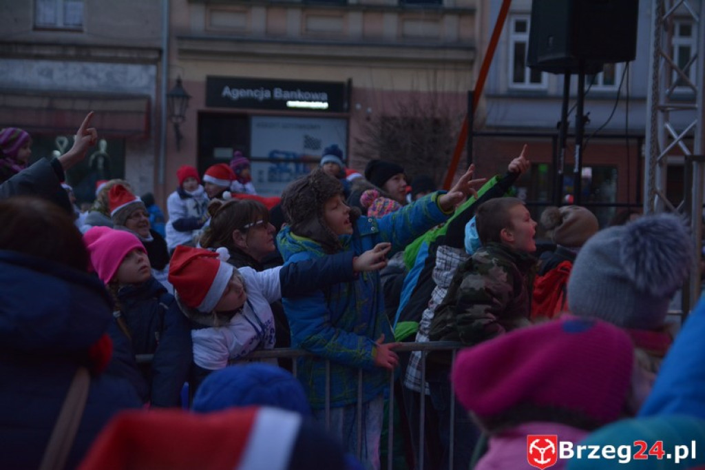 40 tysięcy światełek - Fotorelacja ze  