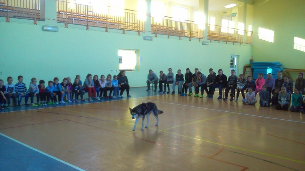 SPOTKANIE UCZNIÓW Z OPOLSKĄ GRUPĄ RATOWNICZO - POSZUKIWAWCZĄ
