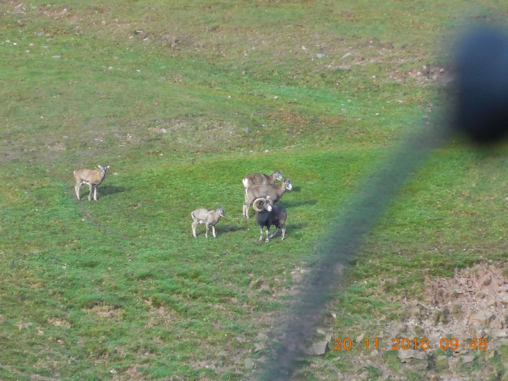 Tajemnice Sudetów część IV - Brzeżanie eksplorowali kompleks Riese