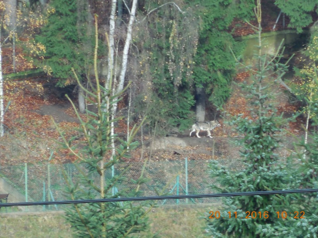 Tajemnice Sudetów część IV - Brzeżanie eksplorowali kompleks Riese