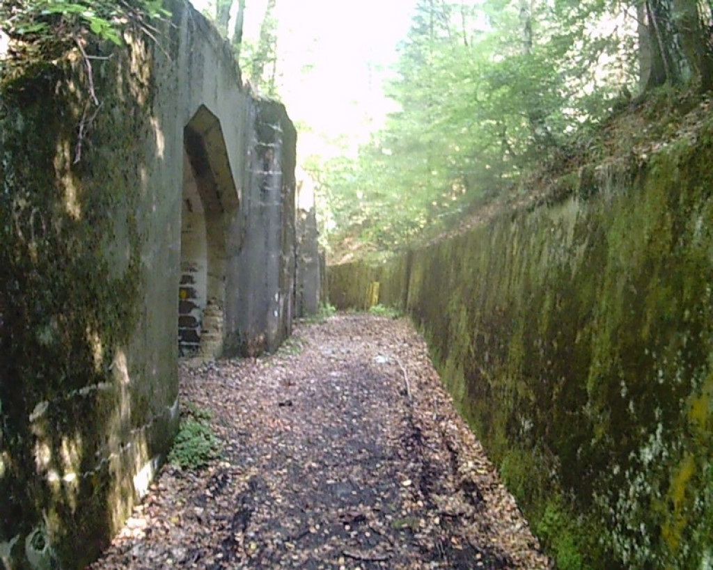 Tajemnice Sudetów część IV - Brzeżanie eksplorowali kompleks Riese