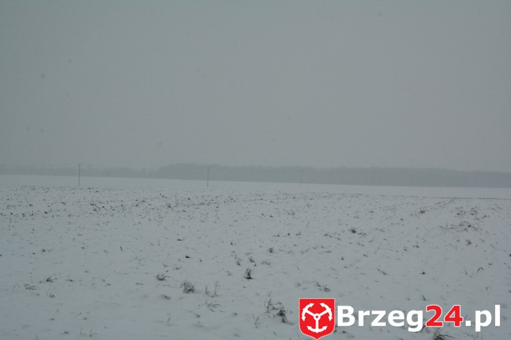 Zima w Brzegu i okolicach