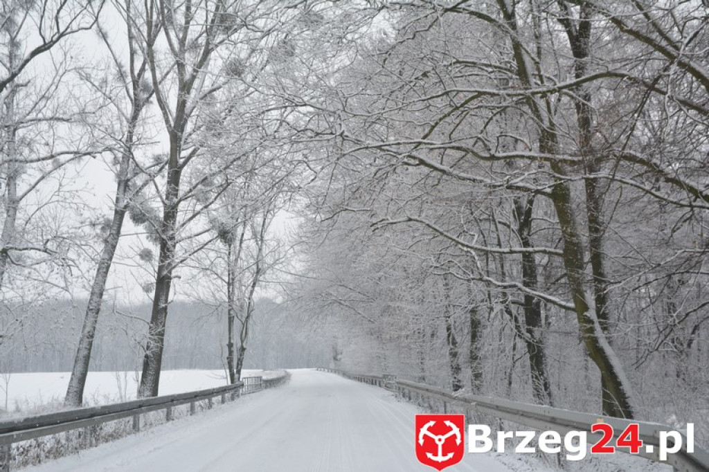 Zima w Brzegu i okolicach