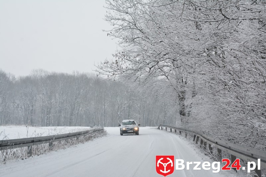 Zima w Brzegu i okolicach