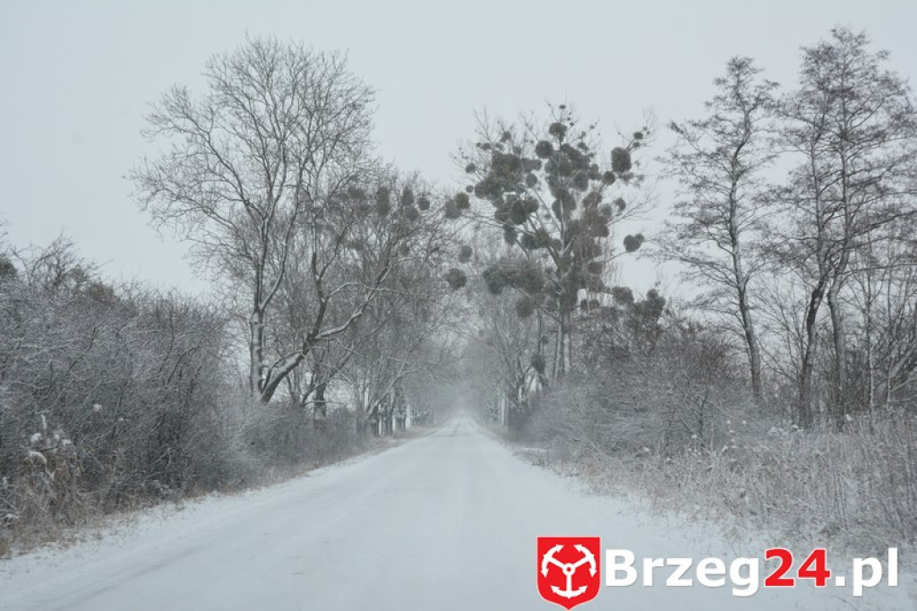 Zima w Brzegu i okolicach