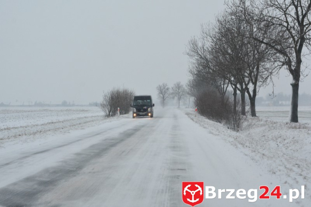 Zima w Brzegu i okolicach