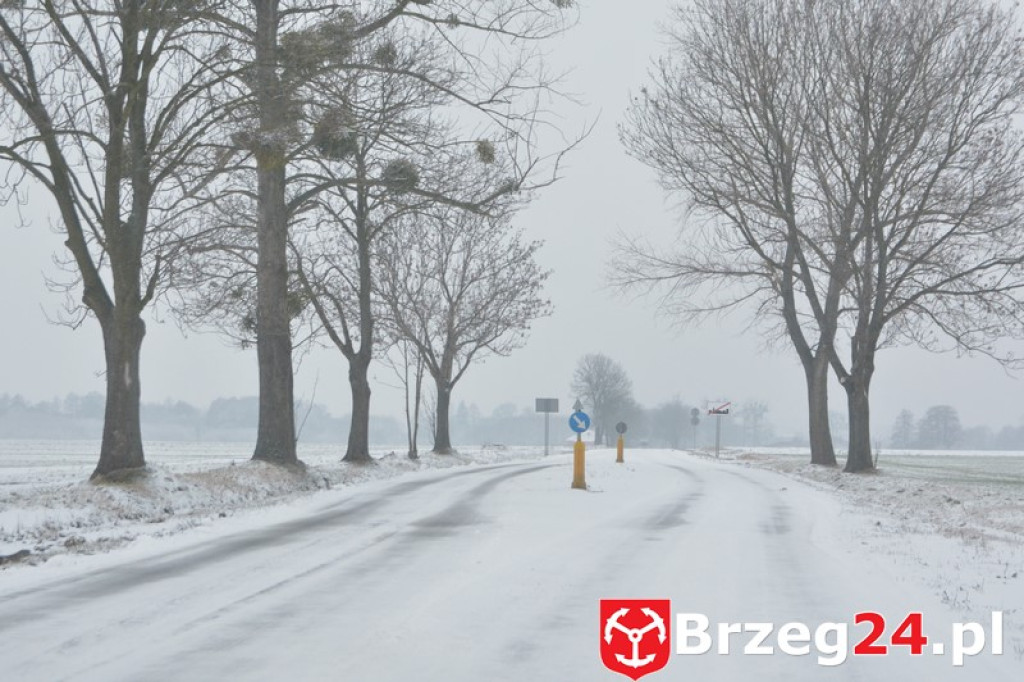 Zima w Brzegu i okolicach