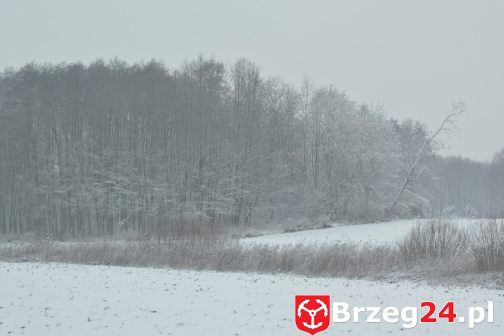 Zima w Brzegu i okolicach
