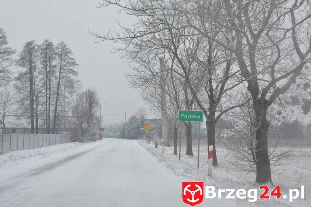Zima w Brzegu i okolicach