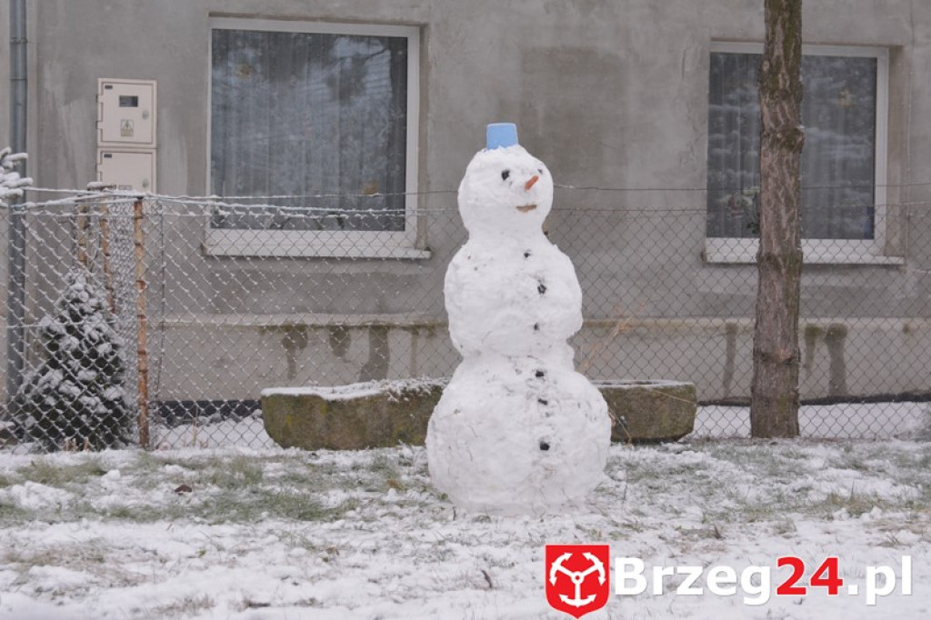 Zima w Brzegu i okolicach