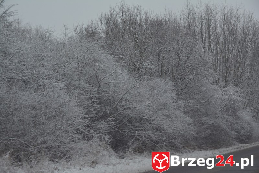 Zima w Brzegu i okolicach