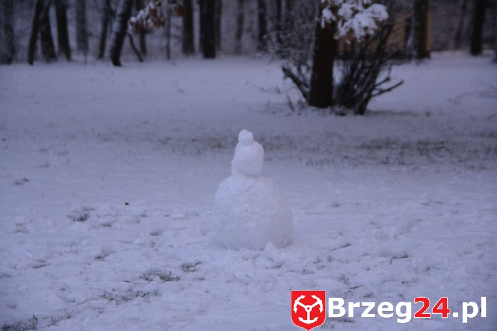 Zima w Brzegu i okolicach