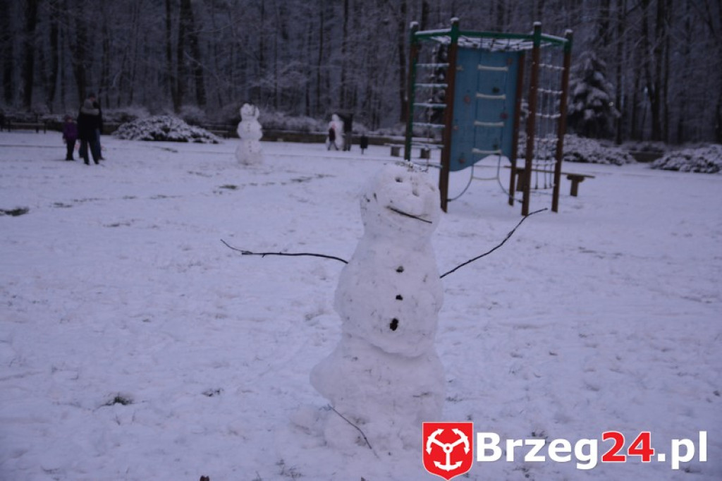 Zima w Brzegu i okolicach