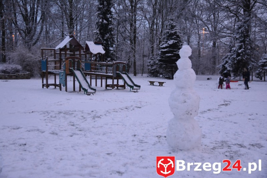 Zima w Brzegu i okolicach