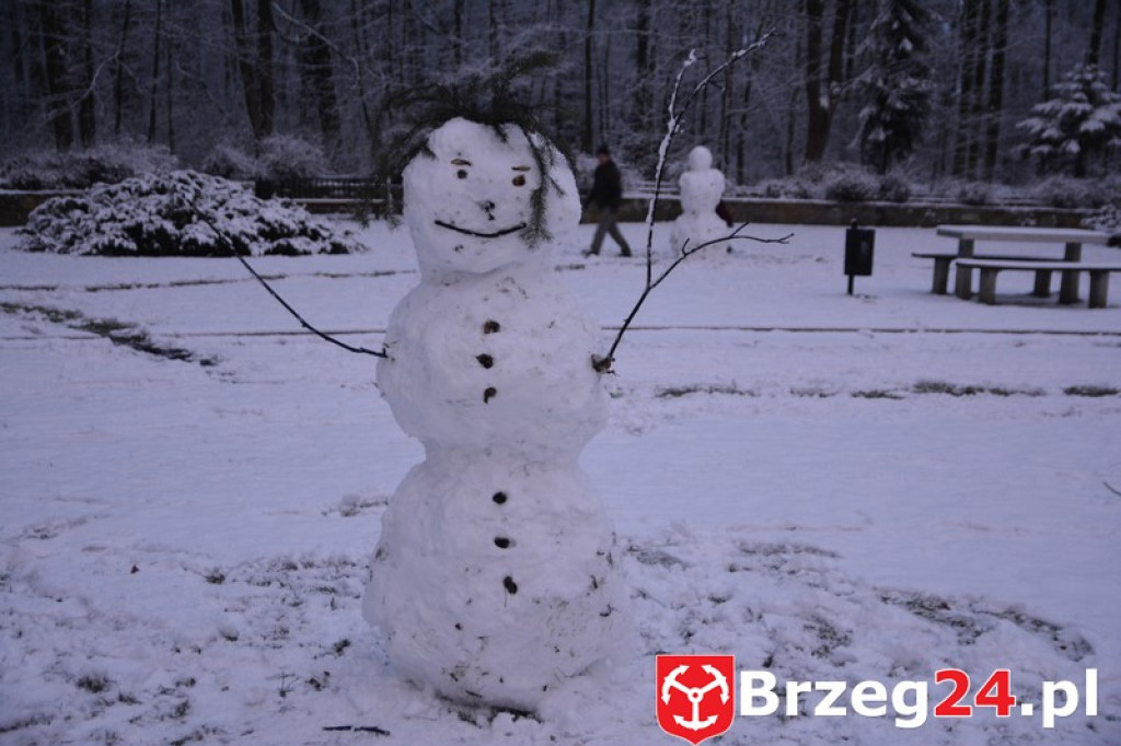 Zima w Brzegu i okolicach