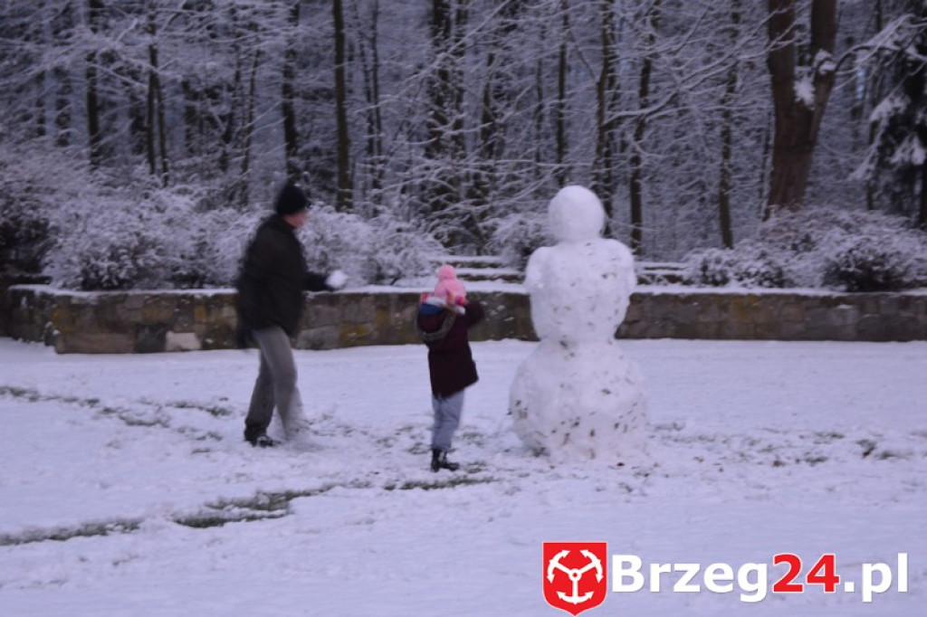 Zima w Brzegu i okolicach