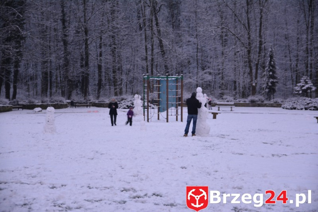 Zima w Brzegu i okolicach