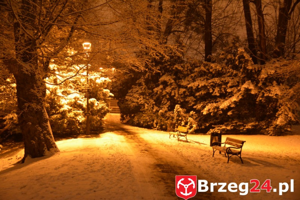 Zima w Brzegu i okolicach