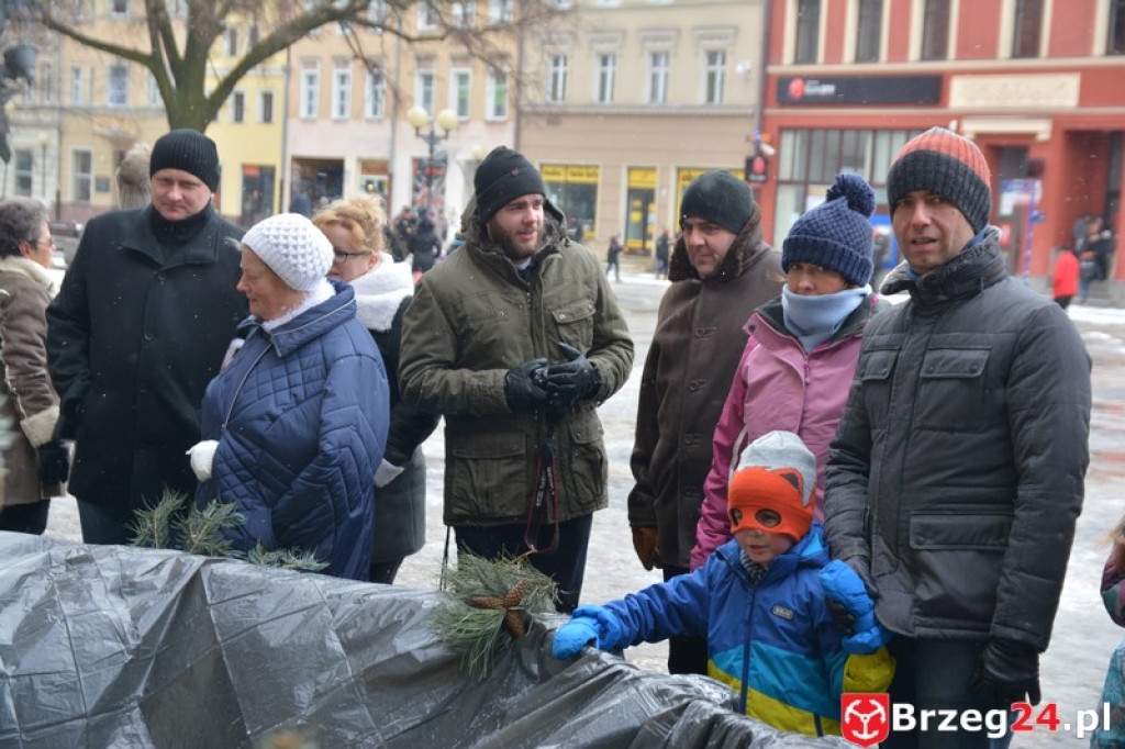 IV Orszak Trzech Króli w Brzegu [fotorelacja]