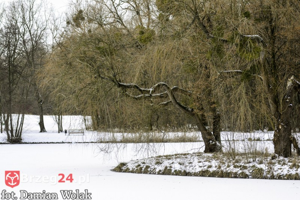 Brzeg zimą cz. 2 - brzeskie parki i 