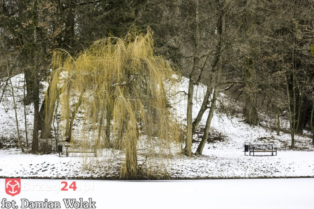 Brzeg zimą cz. 2 - brzeskie parki i 