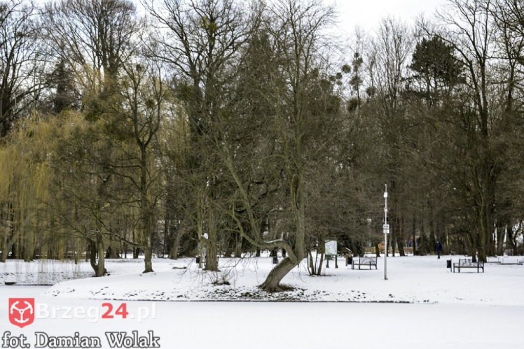 Brzeg zimą cz. 2 - brzeskie parki i 