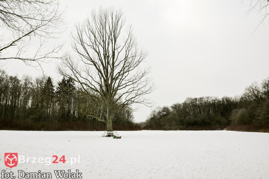 Brzeg zimą cz. 2 - brzeskie parki i 