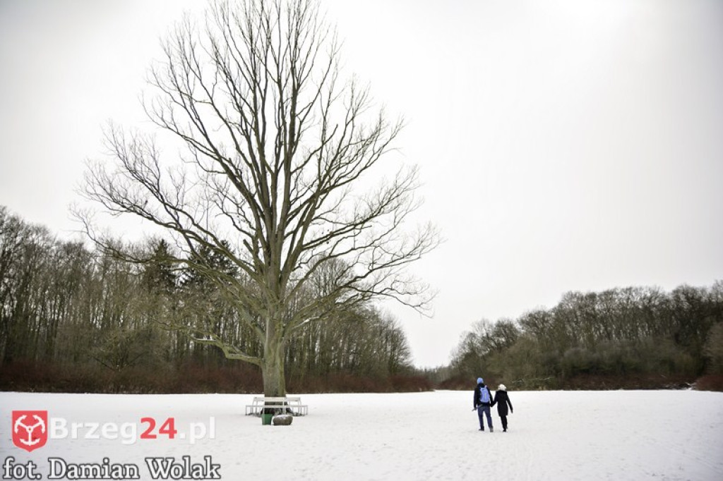Brzeg zimą cz. 2 - brzeskie parki i 