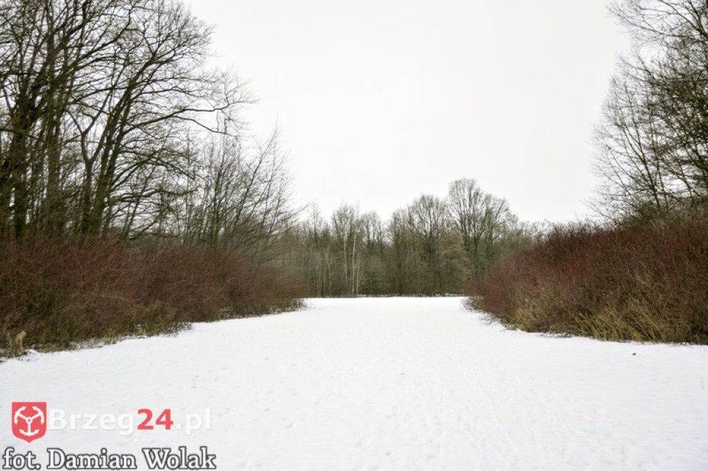 Brzeg zimą cz. 2 - brzeskie parki i 