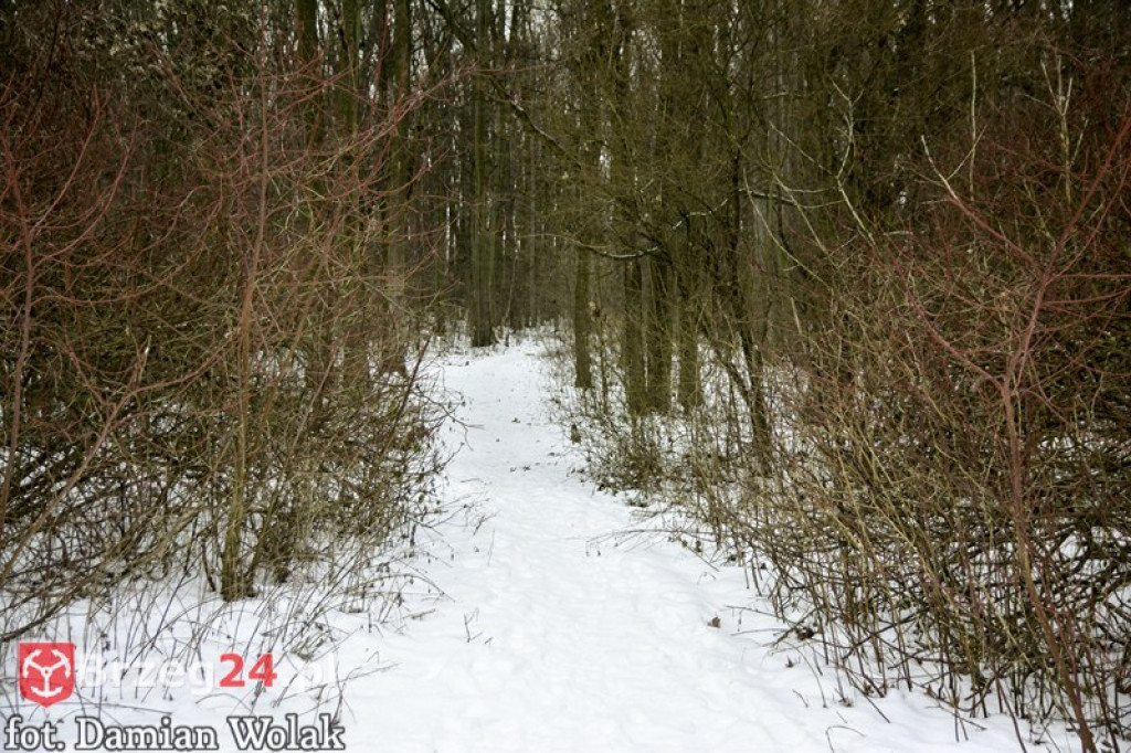 Brzeg zimą cz. 2 - brzeskie parki i 