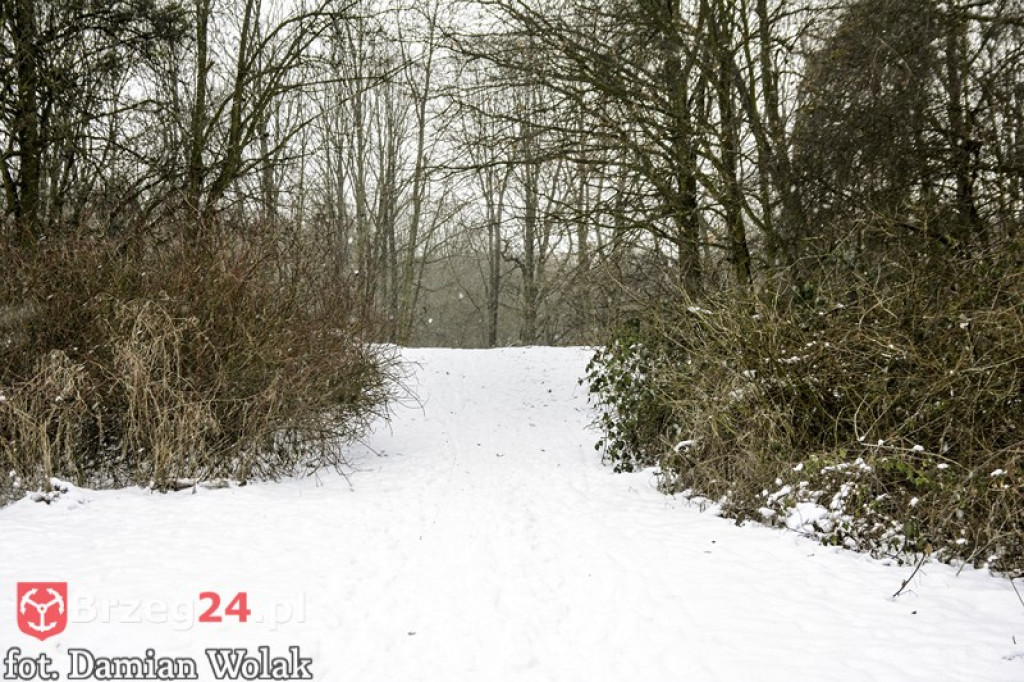 Brzeg zimą cz. 2 - brzeskie parki i 